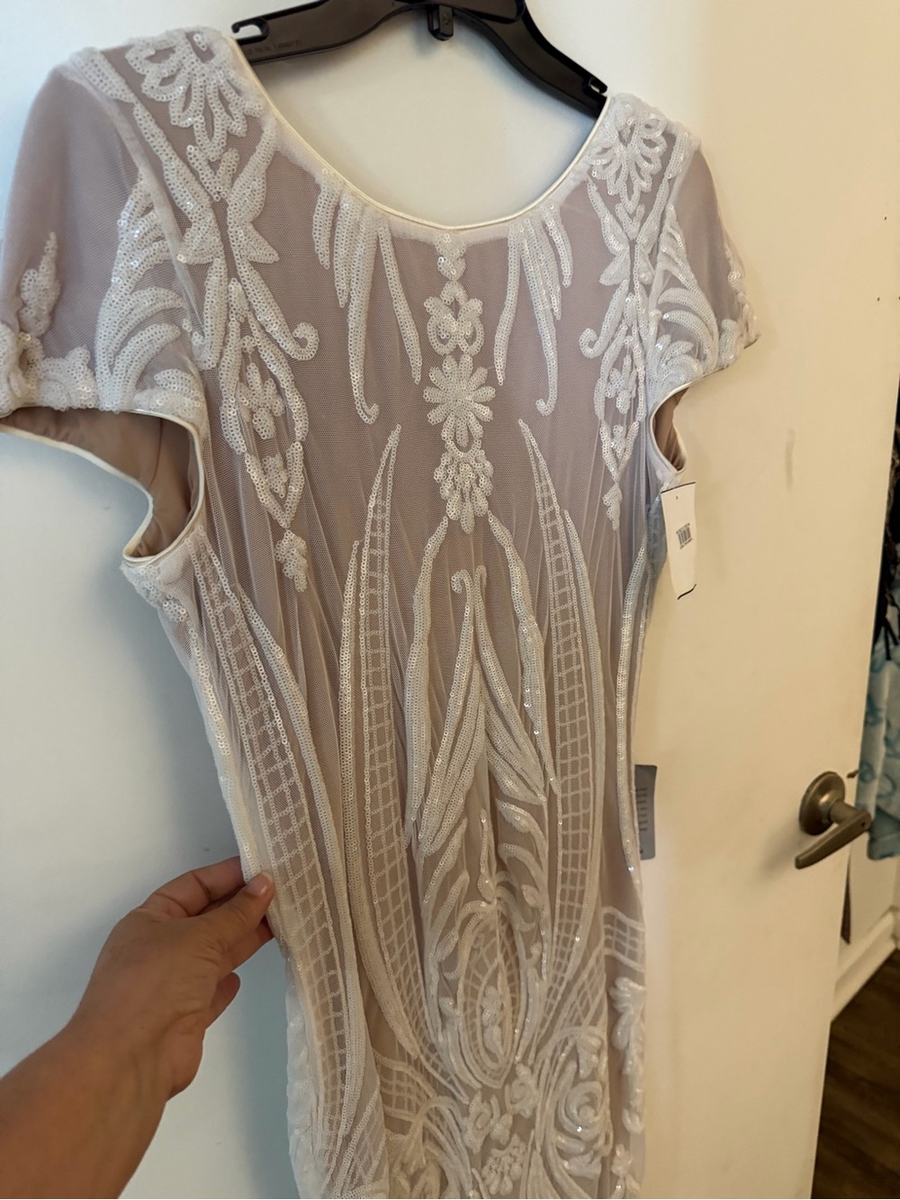 Dress the Population Beige Mesh Tunic with White Embroidered Applique
